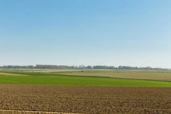 Campi agricoli in una soleggiata giornata primaverile in Normandia, Francia. Paesaggio di campagna — Foto Stock