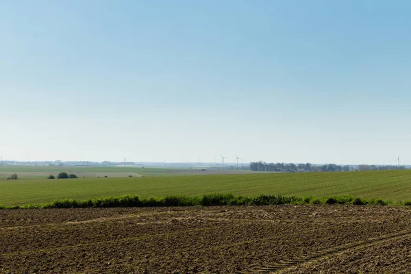 Campi agricoli in una soleggiata giornata primaverile in Normandia, Francia. Paesaggio di campagna — Foto Stock