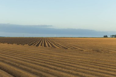 Normandy, Fransa için dikim bitkileri için hazırlanan sürülmüş tarım alanları. Kırsal manzara, tarım arazileri bahar. Çevre dostu tarım ve sanayi tarım kavramı