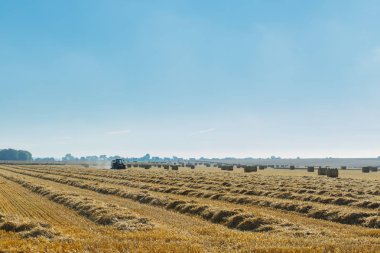 Güneşli bir günde Normandy, Fransa hasat sonra saman balya ile sarı buğday alan. Ülkenin peyzaj, yaz aylarında tarım alanları. Çevre dostu tarım, sanayi tarım kavramı
