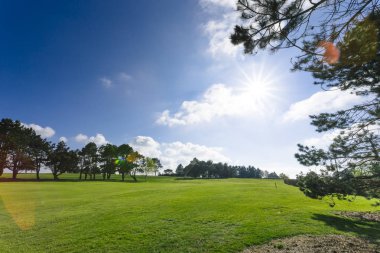 Yeşil bir golf sahası parlak güneşli bir günde bir genel bakış. Pastoral yaz manzara. Spor, sakin ol, rekreasyon ve eğlence kavramı