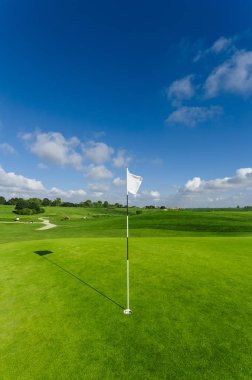 Parlak güneşli bir günde bir yeşil golf sahası, delik ve bayrak görünümünü. Spor, sakin ol, rekreasyon ve eğlence kavramı. Güneş ışınları, yaz yatay