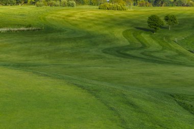Yeşil bir golf sahası parlak güneşli bir günde bir genel bakış. Pastoral yaz manzara. Spor, sakin ol, rekreasyon ve eğlence kavramı