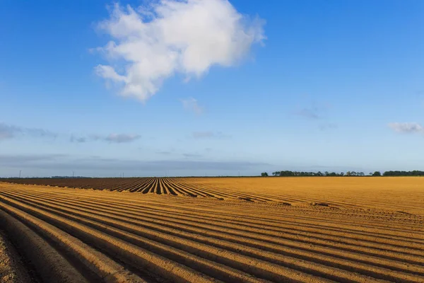 Campi agricoli arati preparati per piantare colture in Normandia, Francia. Paesaggio di campagna, terreni agricoli in primavera. Agricoltura rispettosa dell'ambiente e agricoltura industriale . — Foto Stock