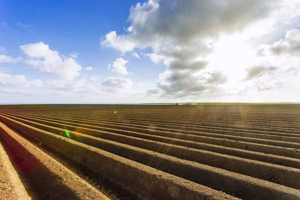 Campi agricoli arati preparati per piantare colture in Normandia, Francia. Paesaggio di campagna, terreni agricoli in primavera. Agricoltura rispettosa dell'ambiente e agricoltura industriale — Foto Stock