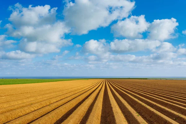 Сельскохозяйственные поля, подготовленные для посадки сельскохозяйственных культур в Нормандии, Франция. Деревенский пейзаж с облачным небом, сельхозугодия весной. Экологическое сельское хозяйство и промышленное сельское хозяйство — стоковое фото