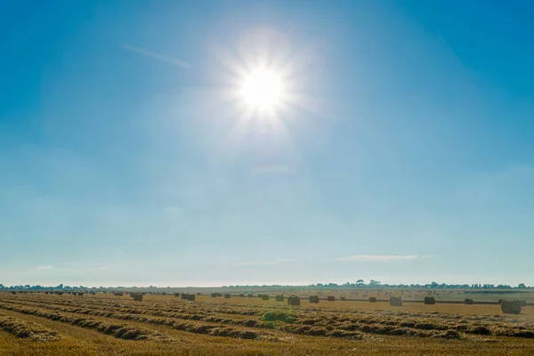 Campo di grano giallo con balle di paglia dopo la raccolta in una giornata di sole in Normandia, Francia. Paesaggio di campagna con raggi di sole nel cielo blu, campi agricoli in estate. Concetto di agricoltura industriale — Foto Stock