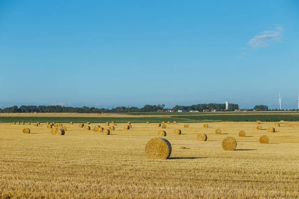 Campo de trigo amarillo con fardos de paja después de la cosecha en un día soleado en Normandía, Francia. Paisaje rural, campos agrícolas en verano. Agricultura respetuosa con el medio ambiente, agricultura industrial — Foto de Stock