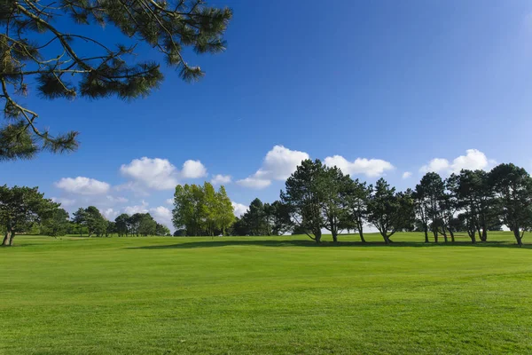 Vista generale di un campo da golf verde in una giornata di sole luminoso. Paesaggio estivo idilliaco. Sport, relax, svago e tempo libero — Foto Stock
