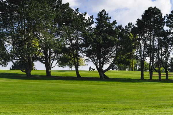 Celkový pohled na zelené golfové hřiště za jasného slunečného dne. Idylické letní krajina. Sport, relax, odpočinek a volný čas koncepce — Stock fotografie