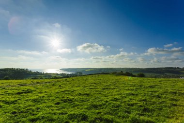 Yeşil buğday alan güneş ışınları ile parlak güneşli bir günde. Ülkenin peyzaj, tarım alanları, otsu çayır ve tarım arazileri bahar. Çevre dostu tarım, sanayi tarım kavramı