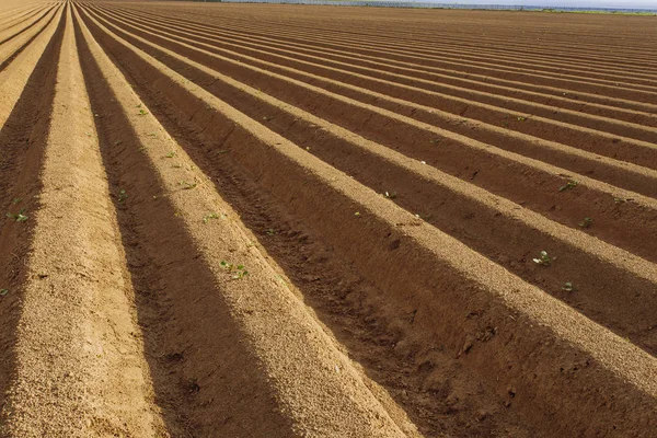 Gepflügte landwirtschaftliche Felder, die für den Anbau von Feldfrüchten in der Normandie vorbereitet wurden. Landschaft, Ackerland im Frühling. umweltfreundliche Landwirtschaft und Konzept der industriellen Landwirtschaft — Stockfoto