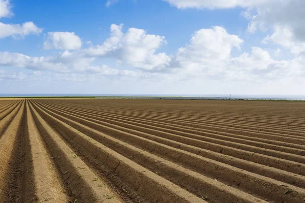 耕した農地ノルマンディー、フランスの作物を植えるために準備します。曇り空、春の農地と田舎の風景。環境フレンドリーな農業や工業、農業の概念. — ストック写真