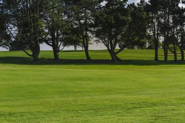 Yeşil bir golf sahası parlak güneşli bir günde bir genel bakış. Pastoral yaz manzara. Spor, sakin ol, rekreasyon ve eğlence kavramı