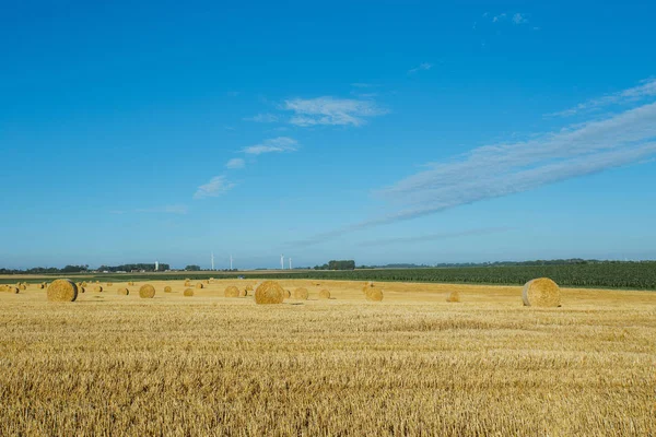 Sárga Búzamező szalmabálákat után betakarítás egy napsütéses napon a Normandy, Franciaország. Ország táj, mezőgazdasági területek, a nyári időszakban. Környezetbarát gazdálkodás, ipari mezőgazdaság koncepciója — Stock Fotó