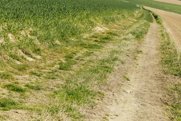 Campi agricoli e strada sterrata in una soleggiata giornata primaverile in Normandia, Francia. Paesaggio di campagna — Foto Stock