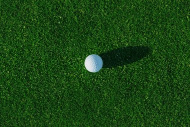 Yeşil sahasında golf topu. Yakın çekim. Üstten görünüm. Spor, sakin ol, rekreasyon ve eğlence kavramı