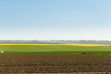 Normandy, Fransa için tarım alanları bir güneşli bahar gününde. Kırsal manzara