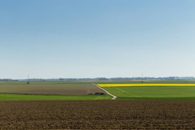 Normandy, Fransa için tarım alanları bir güneşli bahar gününde. Kırsal manzara