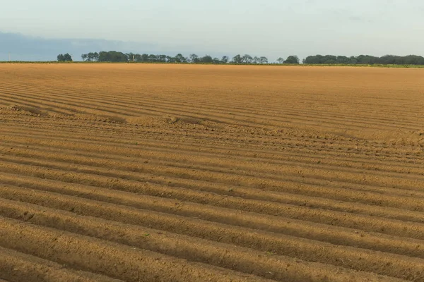 Campi agricoli arati preparati per piantare colture in Normandia, Francia. Paesaggio di campagna con cielo nuvoloso, terreni agricoli in primavera. Agricoltura rispettosa dell'ambiente e agricoltura industriale . — Foto Stock