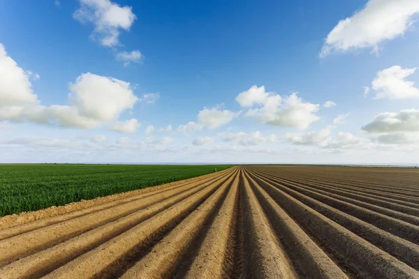Plowed agricultural fields prepared for planting crops in Normandy, France. Countryside landscape, farmlands in spring. Environment friendly farming and industrial agriculture concept — Stock Photo, Image