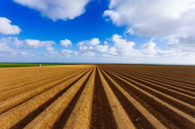 Plowed agricultural fields prepared for planting crops in Normandy, France. Countryside landscape with cloudy sky, farmlands in spring. Environment friendly farming and industrial agriculture concept clipart