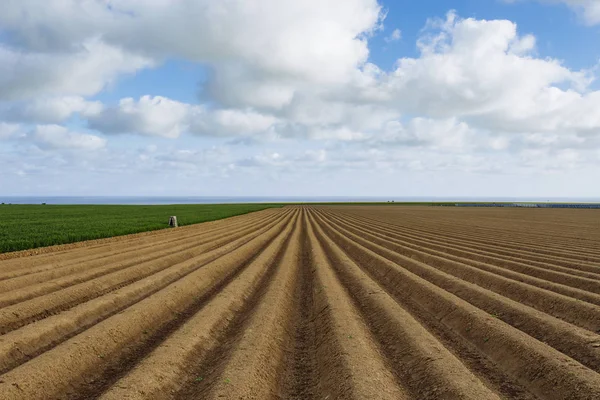 Gepflügte landwirtschaftliche Felder, die für den Anbau von Feldfrüchten in der Normandie vorbereitet wurden. Landschaft, Ackerland im Frühling. umweltfreundliche Landwirtschaft und Konzept der industriellen Landwirtschaft — Stockfoto