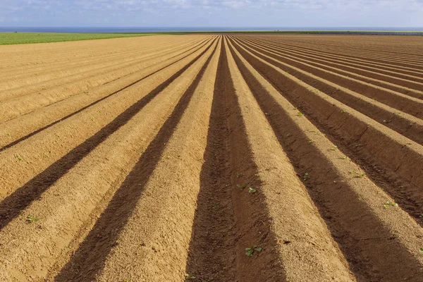 Gepflügte landwirtschaftliche Felder, die für den Anbau von Feldfrüchten in der Normandie vorbereitet wurden. Landschaft, Ackerland im Frühling. umweltfreundliche Landwirtschaft und Konzept der industriellen Landwirtschaft — Stockfoto