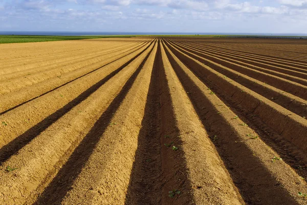 Normandy, Fransa için dikim bitkileri için hazırlanan sürülmüş tarım alanları. Kırsal manzara, tarım arazileri bahar. Çevre dostu tarım ve sanayi tarım kavramı