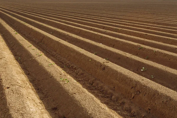 Gepflügte landwirtschaftliche Felder, die für den Anbau von Feldfrüchten in der Normandie vorbereitet wurden. Landschaft, Ackerland im Frühling. umweltfreundliche Landwirtschaft und Konzept der industriellen Landwirtschaft — Stockfoto