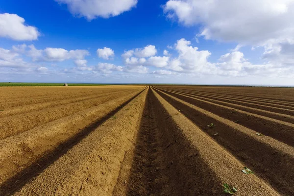 Normandy, Fransa için dikim bitkileri için hazırlanan sürülmüş tarım alanları. Kırsal manzara, tarım arazileri bahar. Çevre dostu tarım ve sanayi tarım kavramı