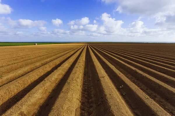 Gepflügte landwirtschaftliche Felder, die für den Anbau von Feldfrüchten in der Normandie vorbereitet wurden. Landschaft, Ackerland im Frühling. umweltfreundliche Landwirtschaft und Konzept der industriellen Landwirtschaft — Stockfoto