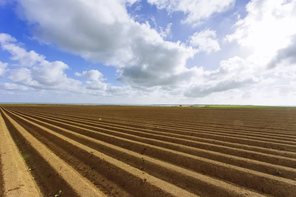 Champs agricoles labourés préparés pour la plantation de cultures en Normandie, France. Paysage rural, terres agricoles au printemps. Agriculture respectueuse de l'environnement et agriculture industrielle concept — Photo