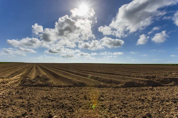 Mulini a vento per la produzione di energia elettrica in campi agricoli in Normandia, Francia. Fonti energetiche rinnovabili, concetto di agricoltura industriale. Produzione di elettricità rispettosa dell'ambiente. Tonica — Foto Stock