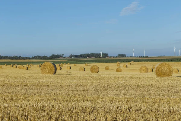 Güneşli bir günde Normandy, Fransa hasat sonra saman balya ile sarı buğday alan. Ülkenin peyzaj, yaz aylarında tarım alanları. Çevre dostu tarım, sanayi tarım kavramı