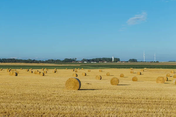 Πεδίο κίτρινο σιτάρι με αχυρόμπαλες μετά τη συγκομιδή σε μια ηλιόλουστη ημέρα στη Νορμανδία, Γαλλία. Τοπίο της χώρας, γεωργικό τομέα το καλοκαίρι. Φιλική προς το περιβάλλον γεωργία, η έννοια της βιομηχανικής γεωργίας — Φωτογραφία Αρχείου