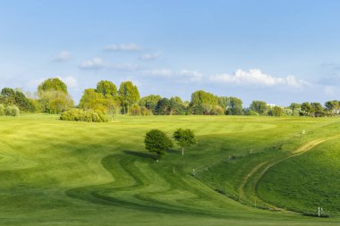 Yeşil bir golf sahası parlak güneşli bir günde bir genel bakış. Pastoral yaz manzara. Spor, sakin ol, rekreasyon ve eğlence kavramı