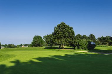 Yeşil bir golf sahası parlak güneşli bir günde bir genel bakış. Pastoral yaz manzara. Spor, sakin ol, rekreasyon ve eğlence kavramı