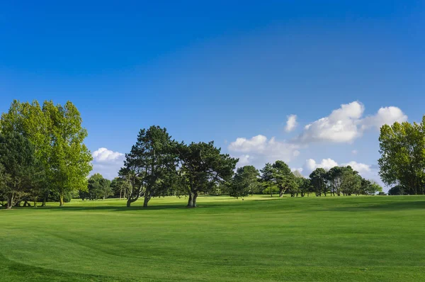 Vista geral de um campo de golfe verde em um dia ensolarado brilhante. Paisagem de verão idílica. Esporte, relaxamento, recreação e lazer conceito — Fotografia de Stock