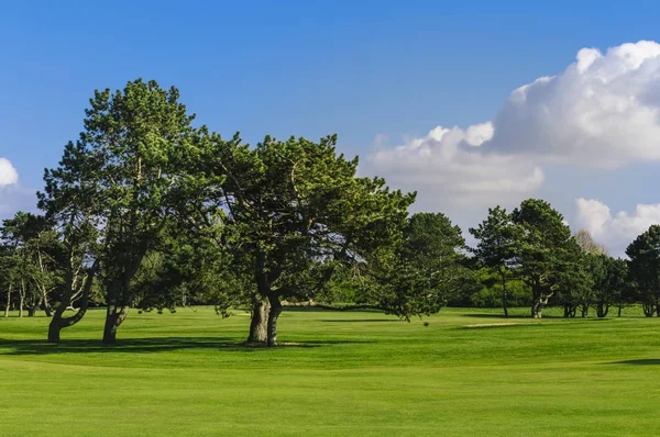 Allmän bild av en grön golfbana på en solig dag. Idylliska sommarlandskap. Sport, relax, rekreation och fritid-konceptet — Stockfoto