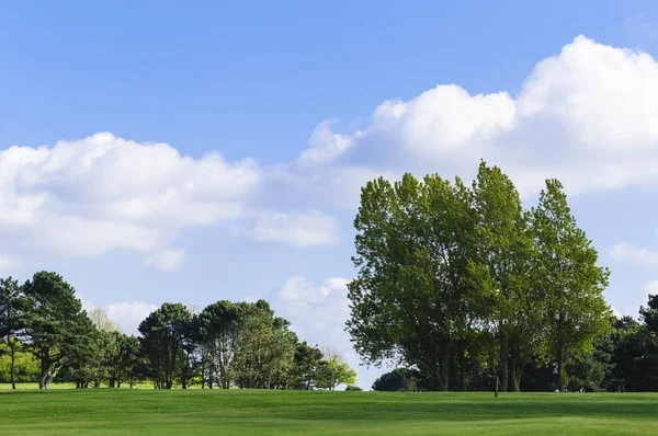 Vista geral de um campo de golfe verde em um dia ensolarado brilhante. Paisagem de verão idílica. Esporte, relaxamento, recreação e lazer conceito — Fotografia de Stock