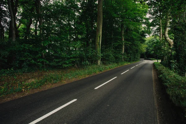 Camino de asfalto del país vacío que pasa a través del bosque verde en t — Foto de Stock