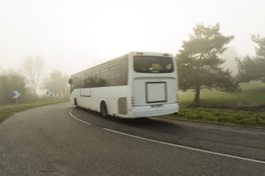 Ormanın içinden geçen otobüs ile eğri yol sisli asfalt. Normandy, Fransa bölgedeki düşük görünürlük ile hava durumu. Ülke manzara sisli gün. Tonda