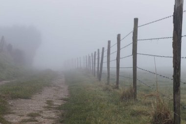 Toprak ülke yol orman ve alanları Normandy, Fransa bölgesinde geçiyor. Kırsal manzara sisli gün. Tonda