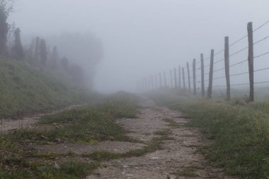 Toprak ülke yol orman ve alanları Normandy, Fransa bölgesinde geçiyor. Kırsal manzara sisli gün. Tonda