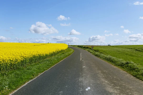 Prázdná země asfaltové silnici procházející zelené a kvetoucí zemědělských polí. Venkovské krajiny na slunný jarní den v regionu Normandie, Francie — Stock fotografie