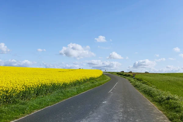 Prázdná země asfaltové silnici procházející zelené a kvetoucí zemědělských polí. Venkovské krajiny na slunný jarní den v regionu Normandie, Francie — Stock fotografie