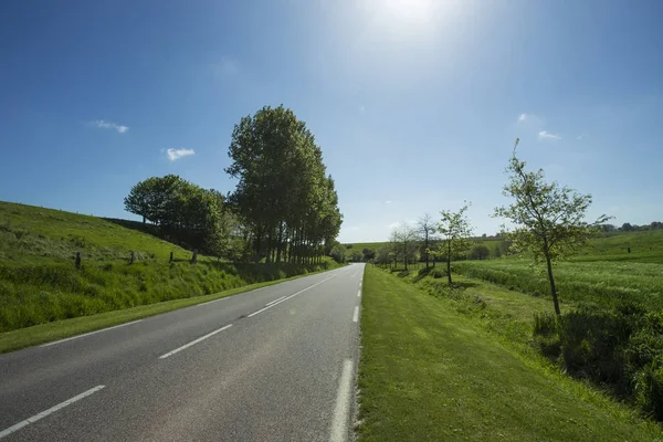 Empty asphalt country road passing through green and flowering agricultural fields. Countryside landscape on a sunny spring day in France. Environment friendly farming, industrial agriculture concept — Stock Photo, Image