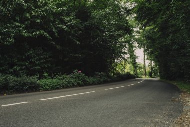 Normandy, Fransa bölgenin yeşil ormanda geçen boş ülke asfalt yol. Doğa, kırsal manzara, ulaşım ve yol ağ konsepti.