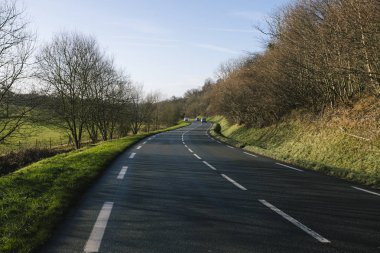 Normandy, Fransa bölgesi ormanda geçen boş yol asfalt. İçinde sonbahar günü manzara. Tonda